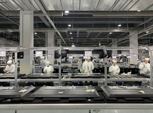 绵阳跻身国家级外贸基地序列，依托产业优势驱动进出口增长